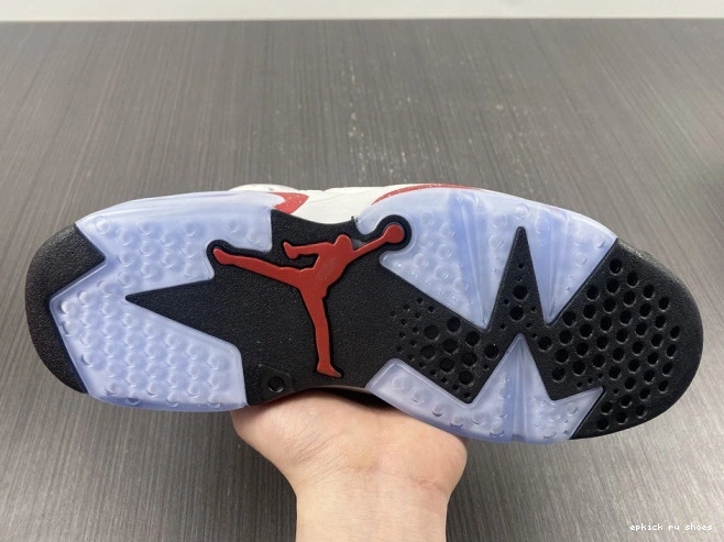 Rep CT8529-162 6 Retro Jordan Hare 0712